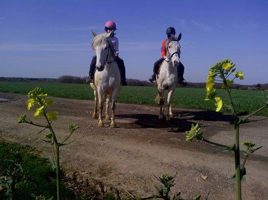 Les écuries du Grand Chemin — photo 3
