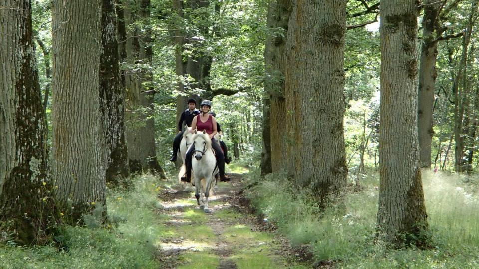 Rando Camarguaise, Jouy - photo 4