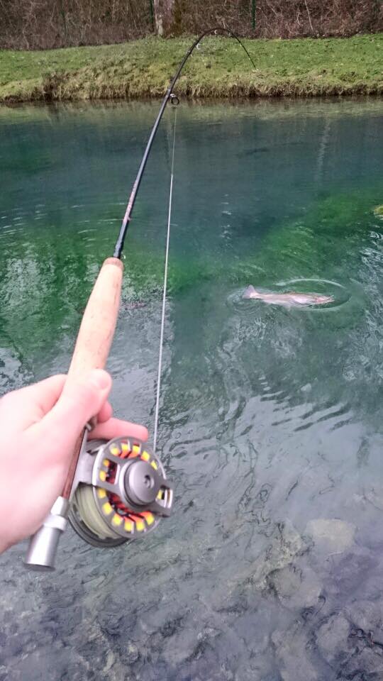 LE DANICA PECHE PARCOURS A LA MOUCHE, Dordives - photo 4