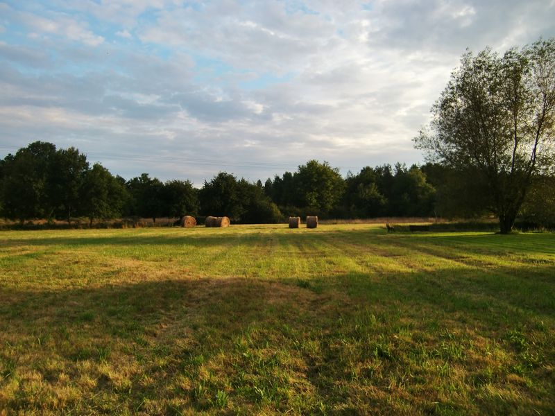 La Maison du Pont de Bois, Châtenoy - photo 13