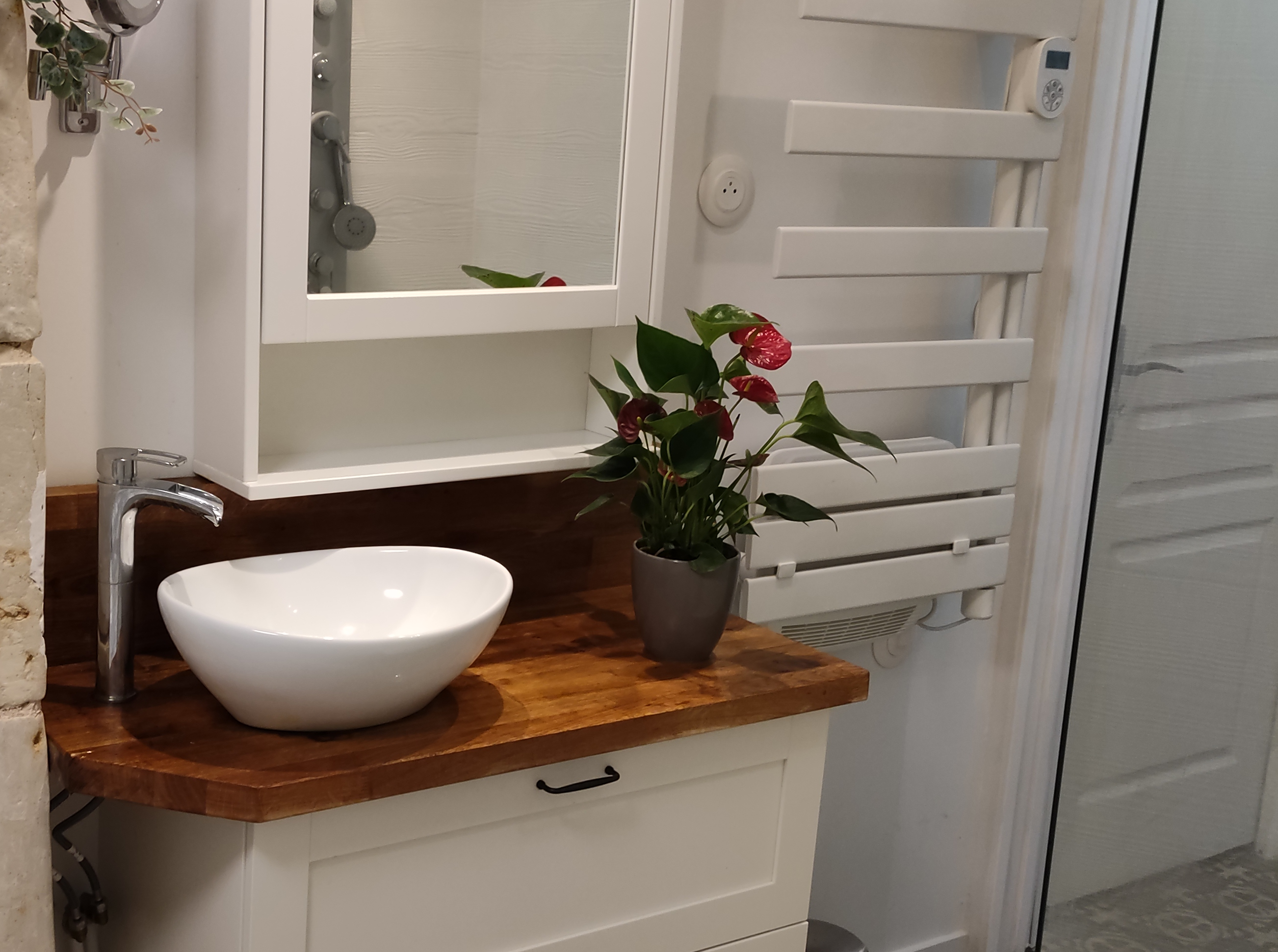 Détente au bord du Loir - gîte 1, Les Roches-l'Évêque - photo 11