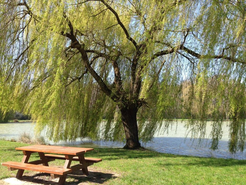 Aire de pique-nique à Lailly-en-Val