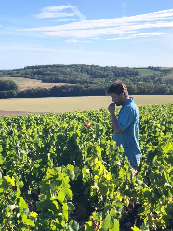 Le Prieuré de Saint-Céols AOC MENETOU-SALON
