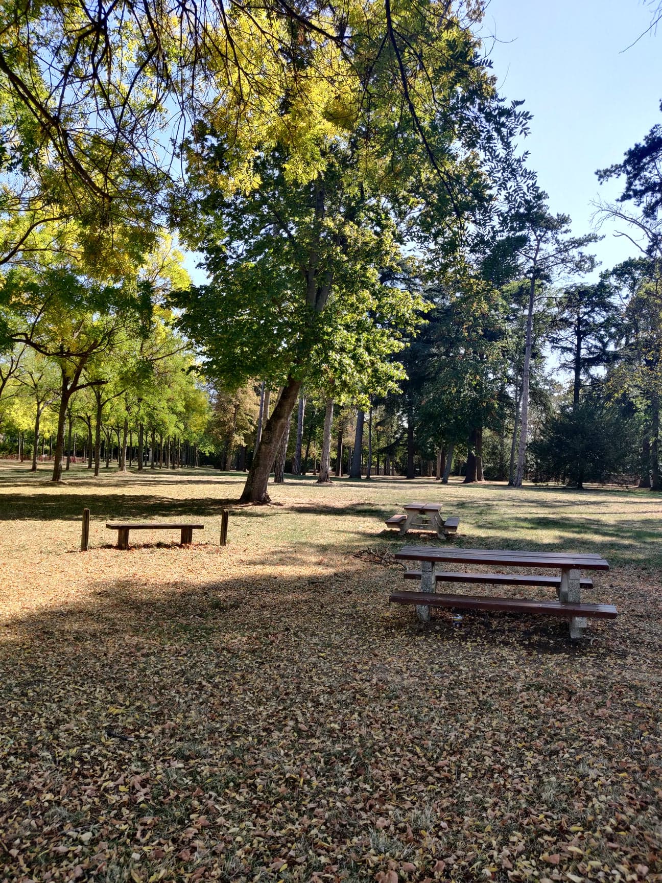 Aire de pique-nique à Meung-sur-Loire (allée du Château) - photo 2