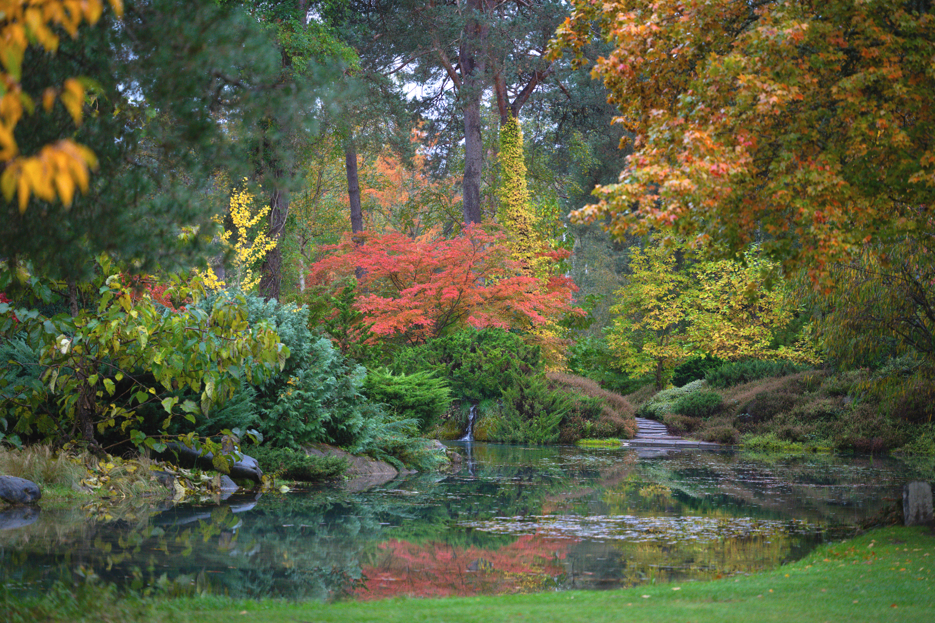 Arboretum des Grandes Bruyères, Ingrannes - photo 8