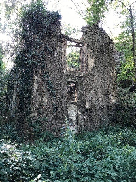 « Le Moulin des Fougères », Sidiailles