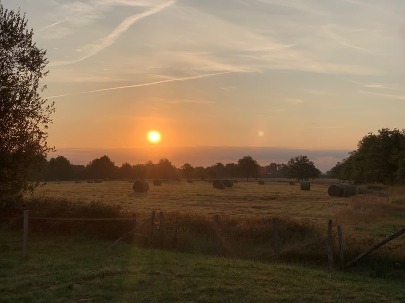 Le Cottage du Tremble 1, Ruffec - photo 4