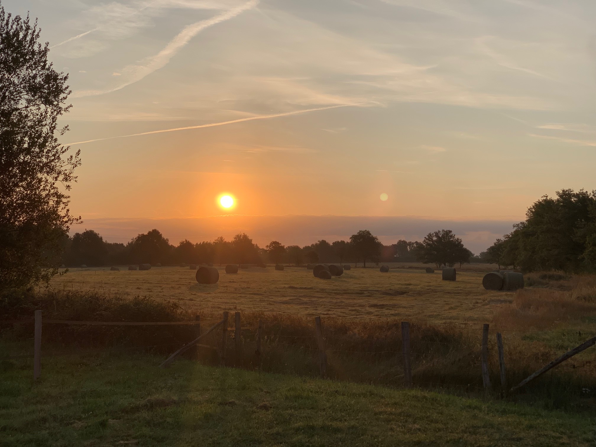 Le Cottage du Tremble 2, Ruffec - photo 3