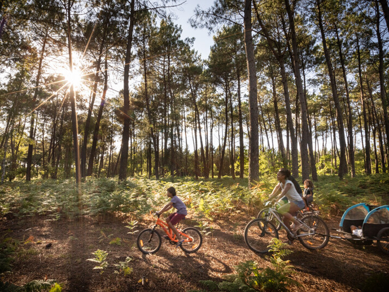 Huttopia Lac de Rillé, Rillé - photo 3