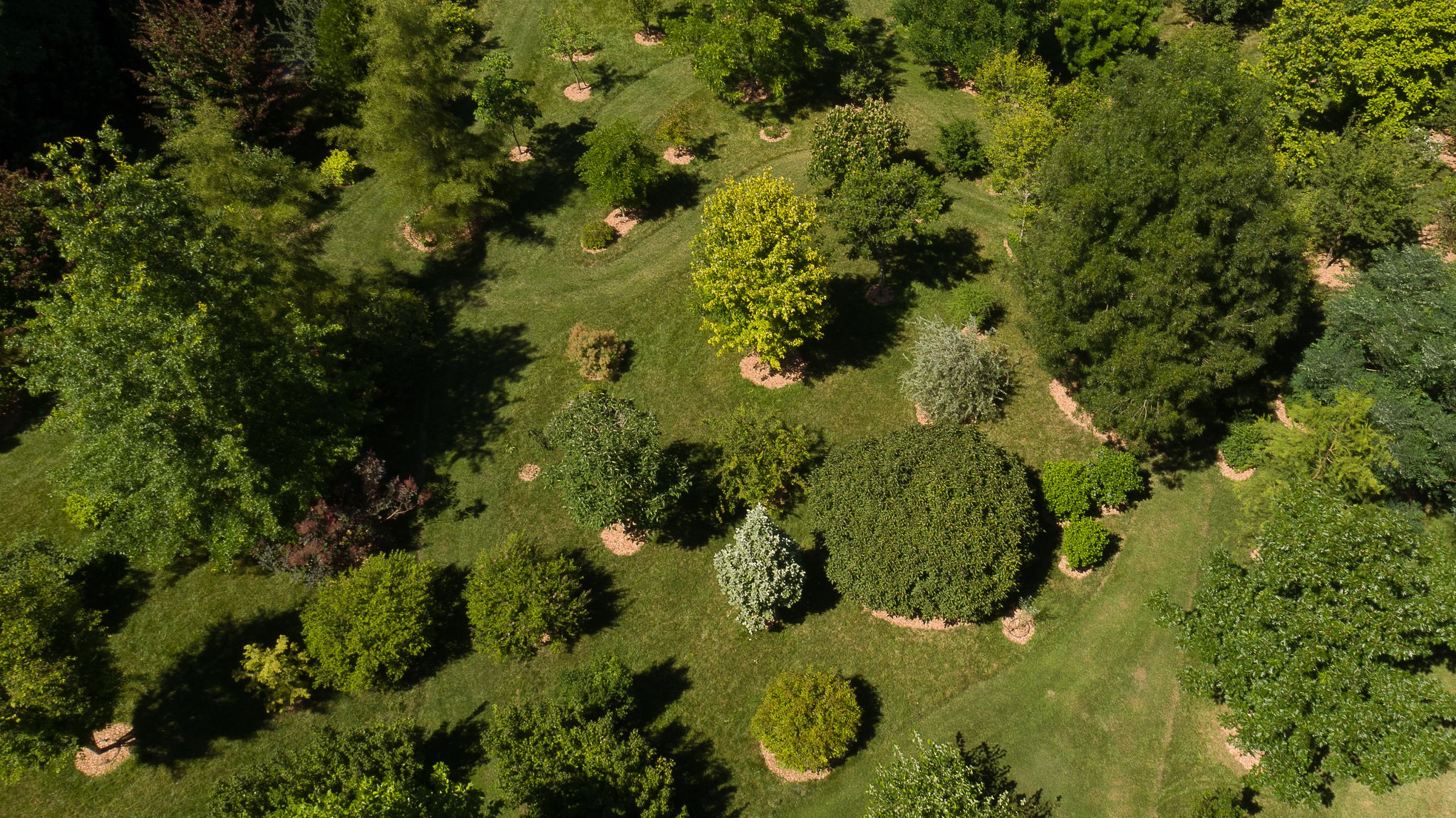 Domaine de Poulaines : Jardins et Arboretum, Poulaines - photo 7