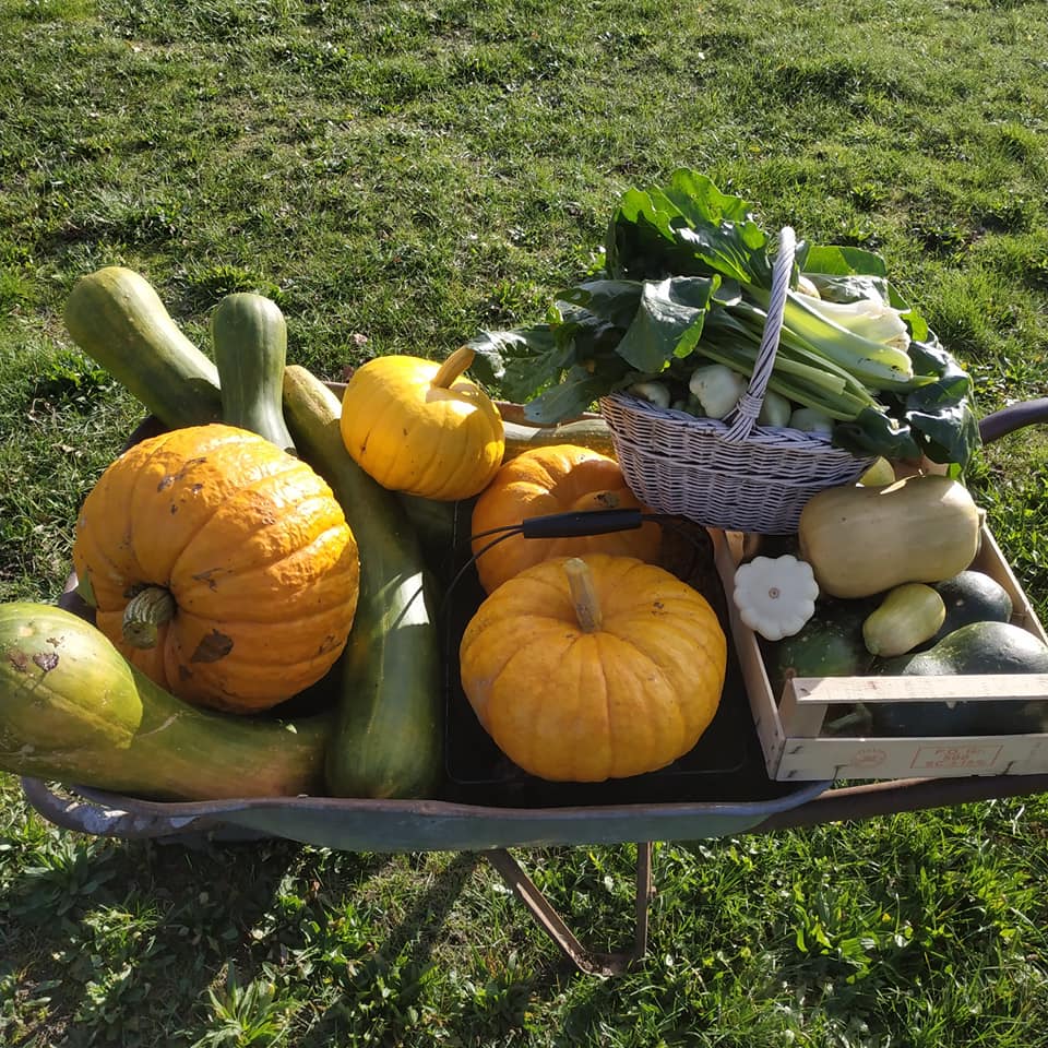 Phirisse et le petit caillou - ferme d'animation, Dry - photo 3