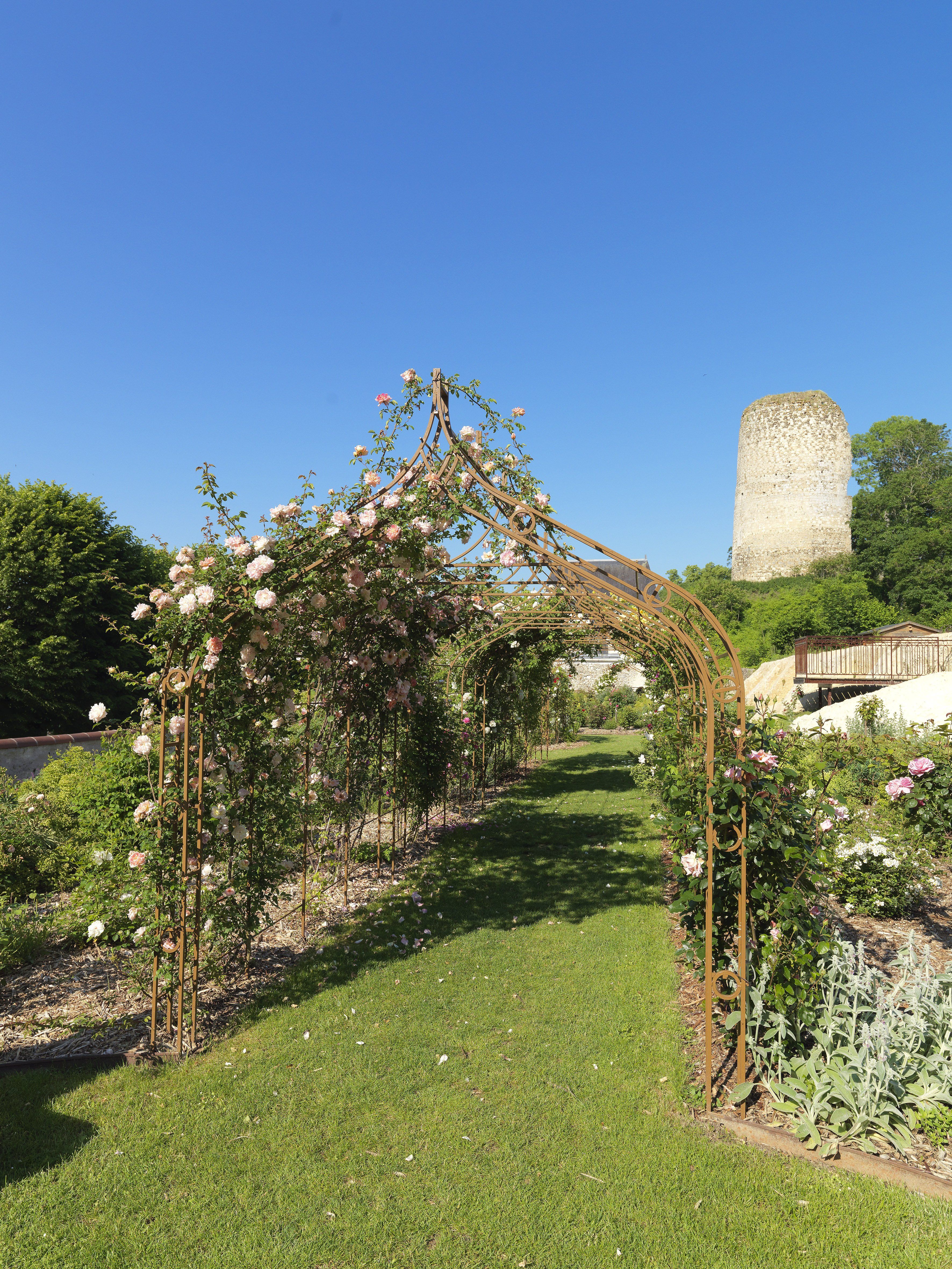 Roseraie du Château, Château-Renault - photo 3