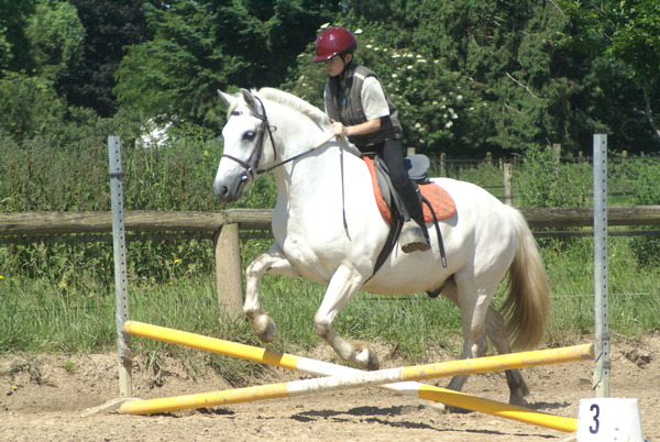 Poney-club Arc-en-ciel