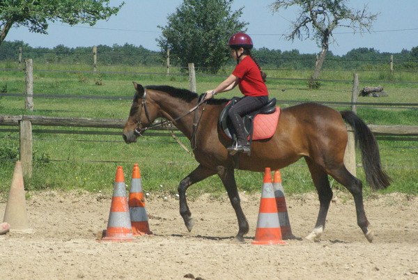 Poney-club Arc-en-ciel