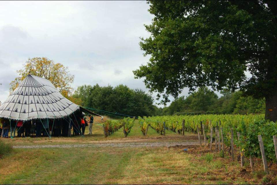 Domaine du Grand Rosières - Domaine Siret-Courtaud — photo 3