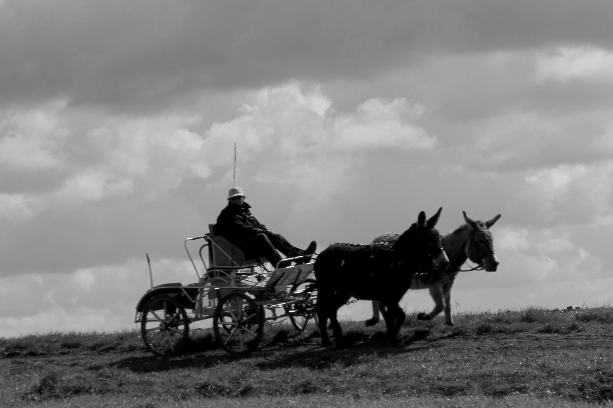 Prest-Anes, Chambon-la-Forêt - photo 4