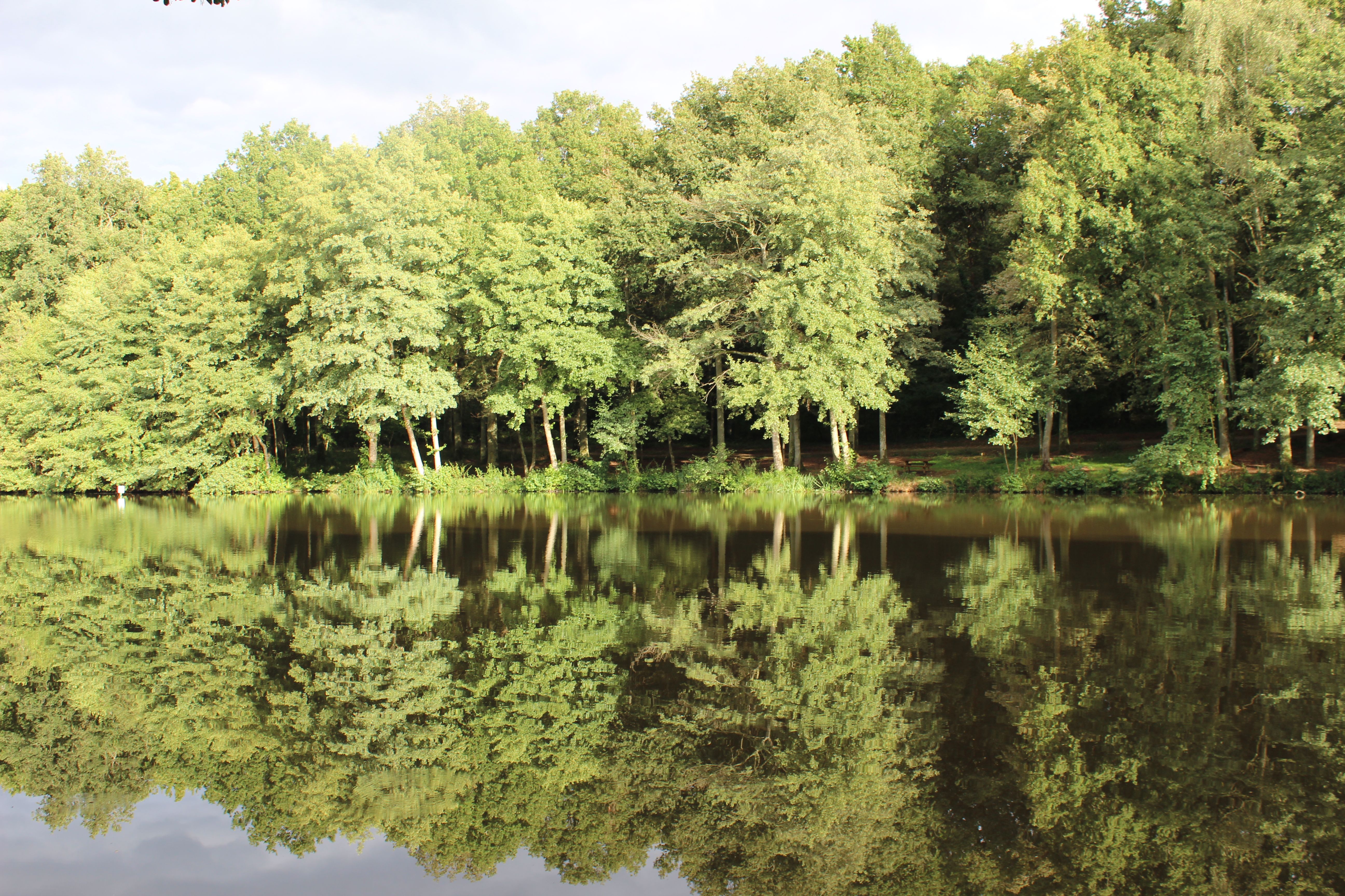 Base VTT Berry Loire Puisaye - Circuit n°2 "Trousse-Bois"