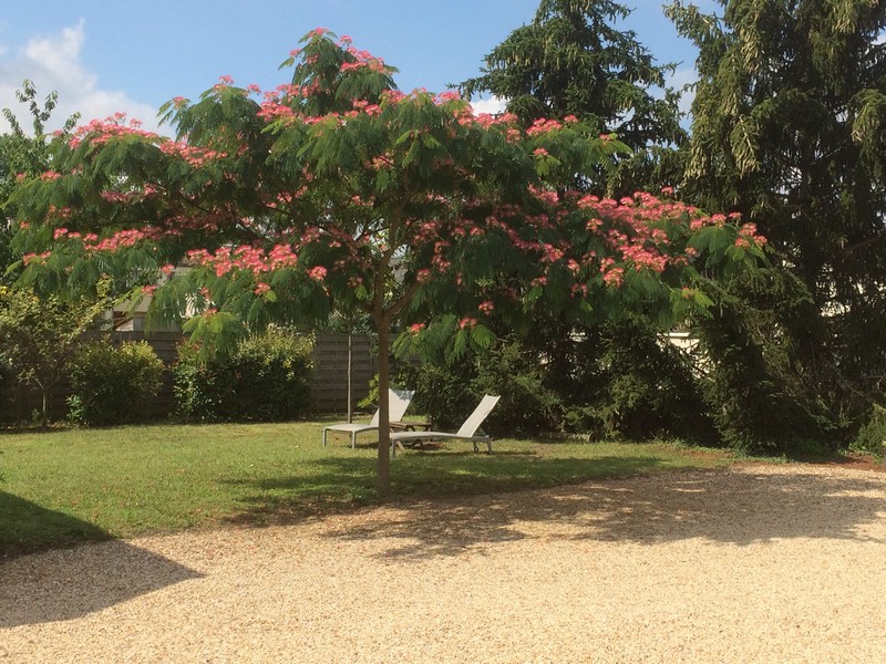 La Bonne Avoine, Avoine - photo 9