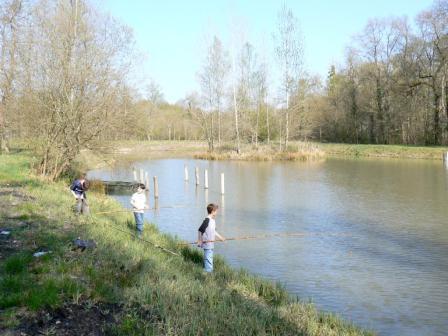 Les Glycines, Crouy-sur-Cosson - photo 22