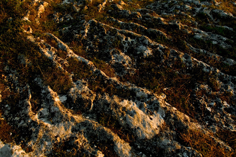Balade à pied n°20 - Visite au pays des sarcophages, Mérigny - photo 6