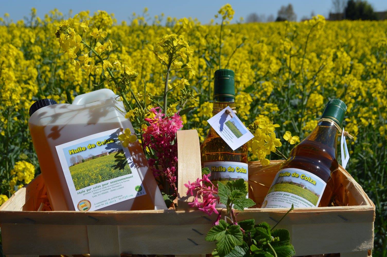 Ferme du Verger - Huile de colza