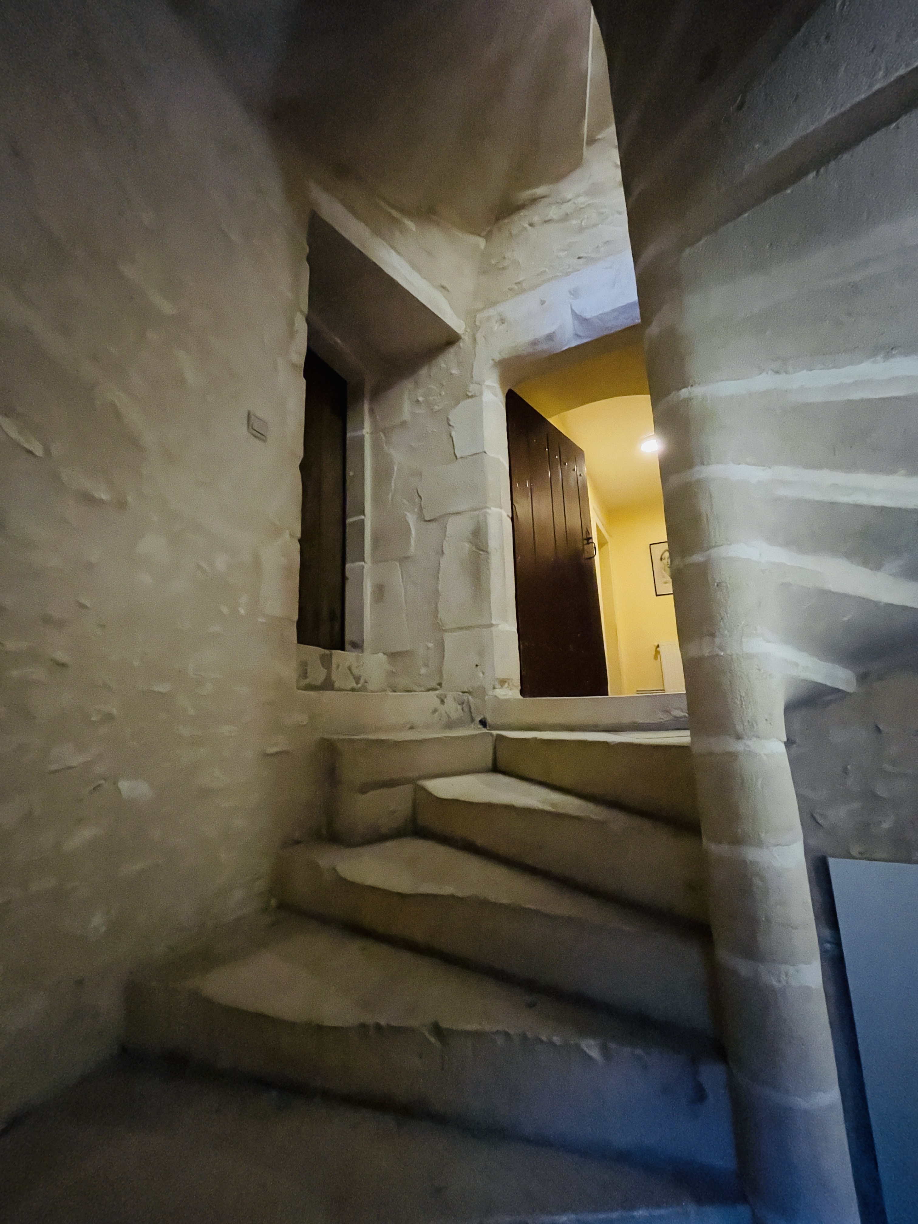 Manoir de Rousson, Saint-Loup-des-Chaumes - photo 3