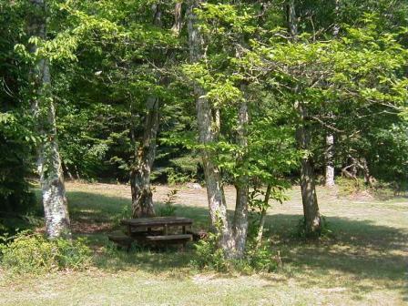 Les Bambous, Crouy-sur-Cosson