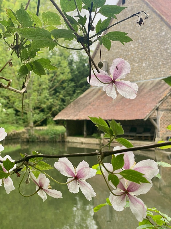 Le Moulin de Masson, Saint-Avit-les-Guespières - photo 6