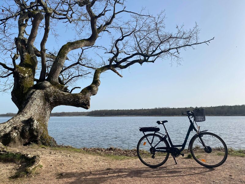 Location de vélos au camping municipal de l'Isle d'Avant