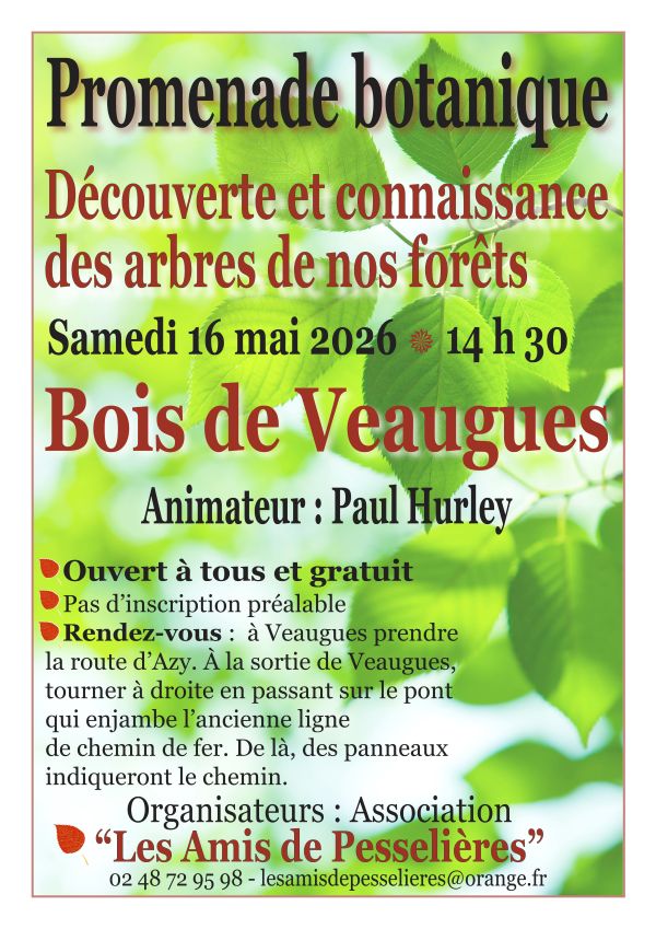 Promenade botanique — visuel événement