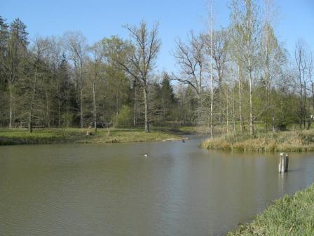 Les Glycines, Crouy-sur-Cosson - photo 5