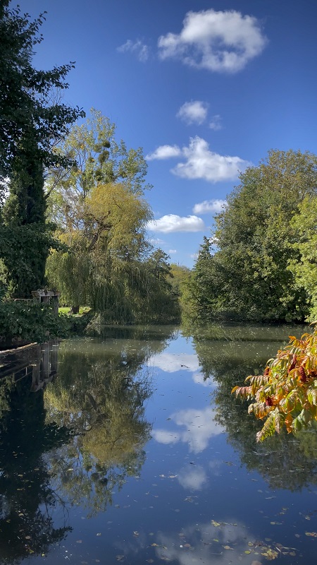 Le Moulin de Masson, Saint-Avit-les-Guespières - photo 13