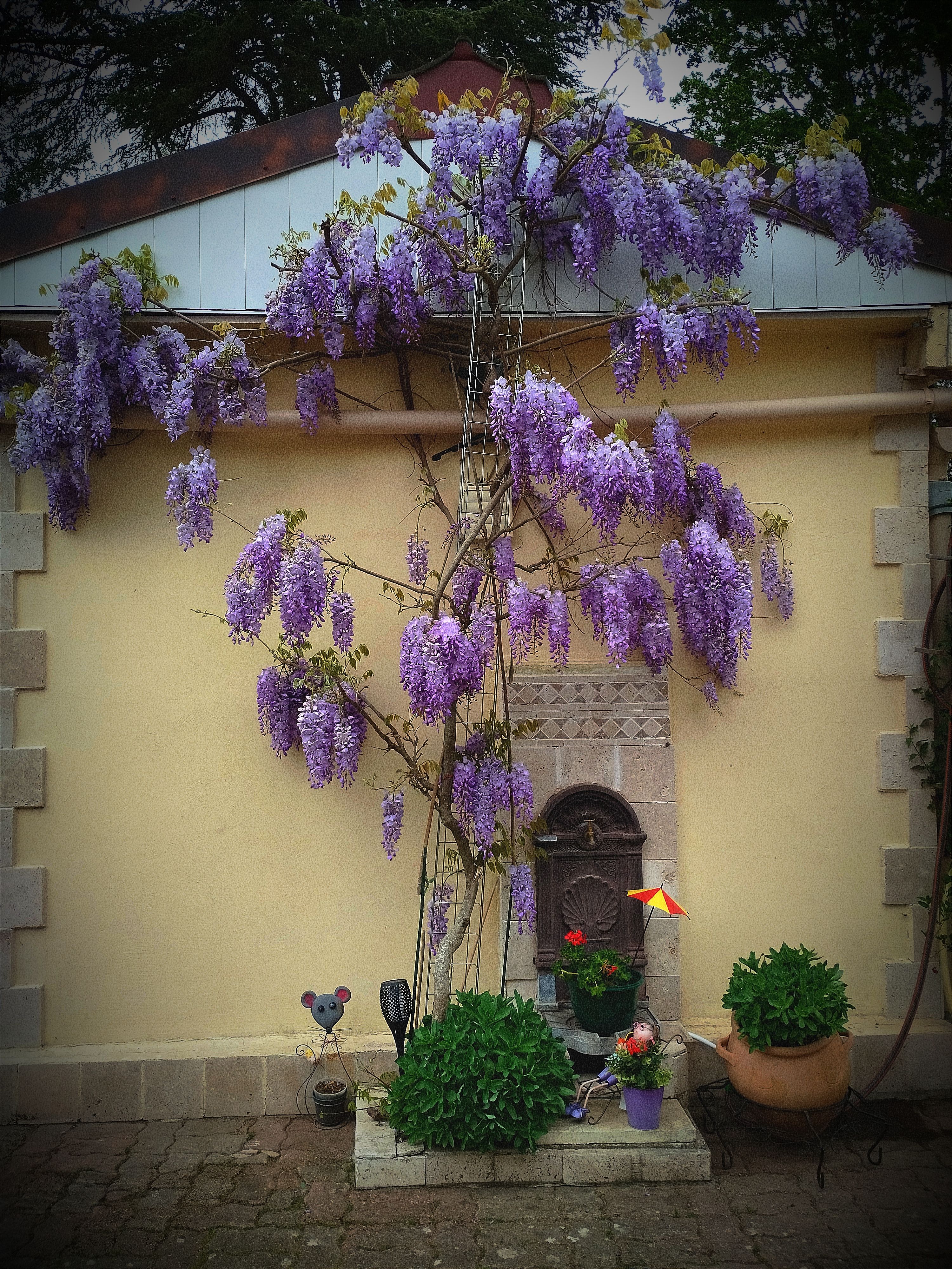 Gîte "Au muguet ", Briare - photo 2
