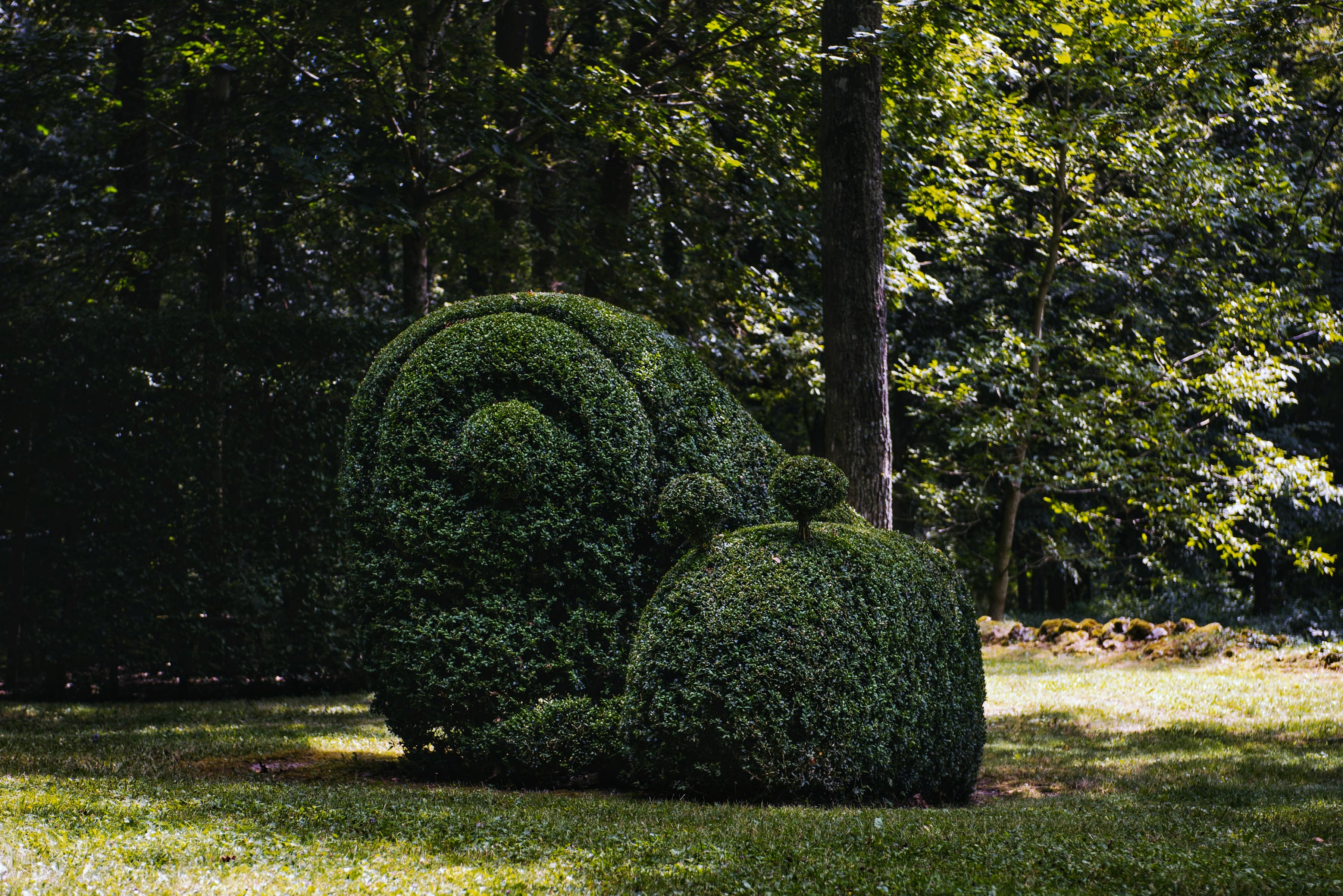 Journées Mondiales de l'Art Topiaire, Poulaines - photo 2
