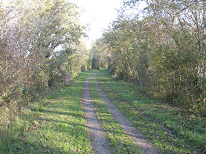 Voie Verte, Ruffec - photo 2