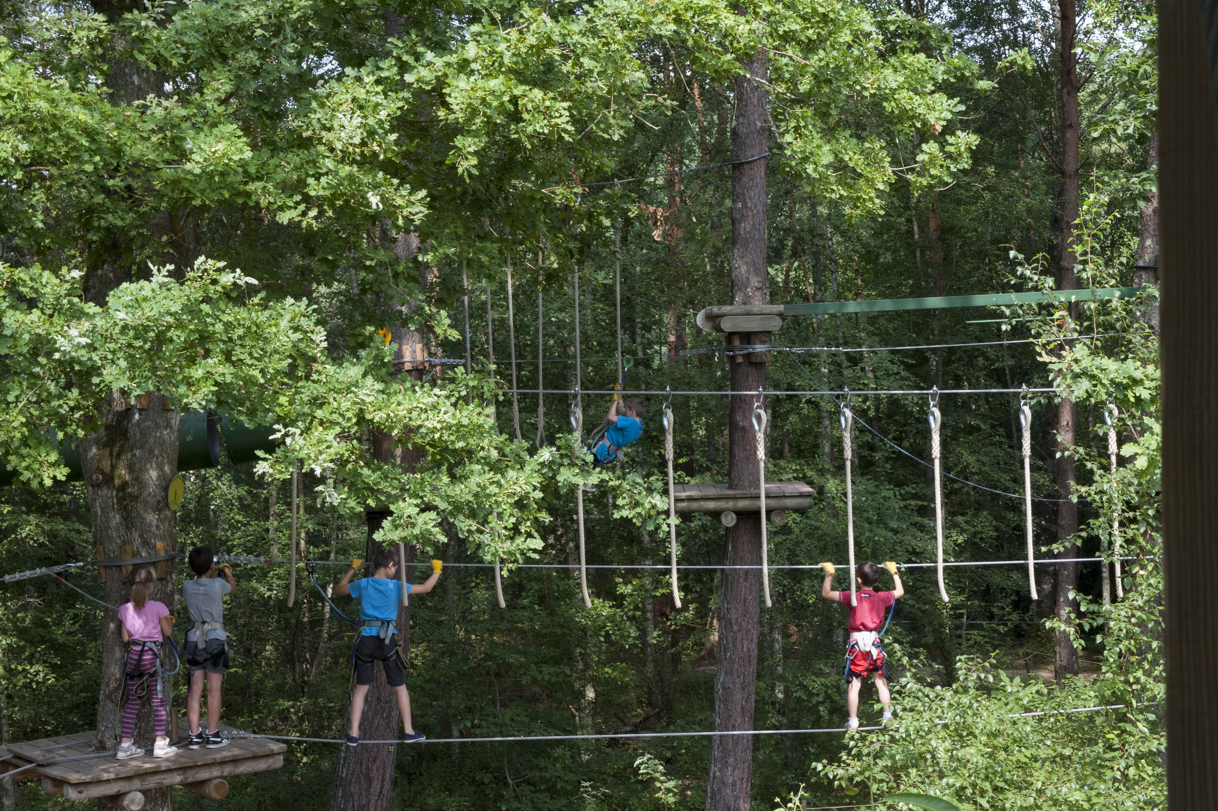 Aventure Parc, Nançay - photo 2