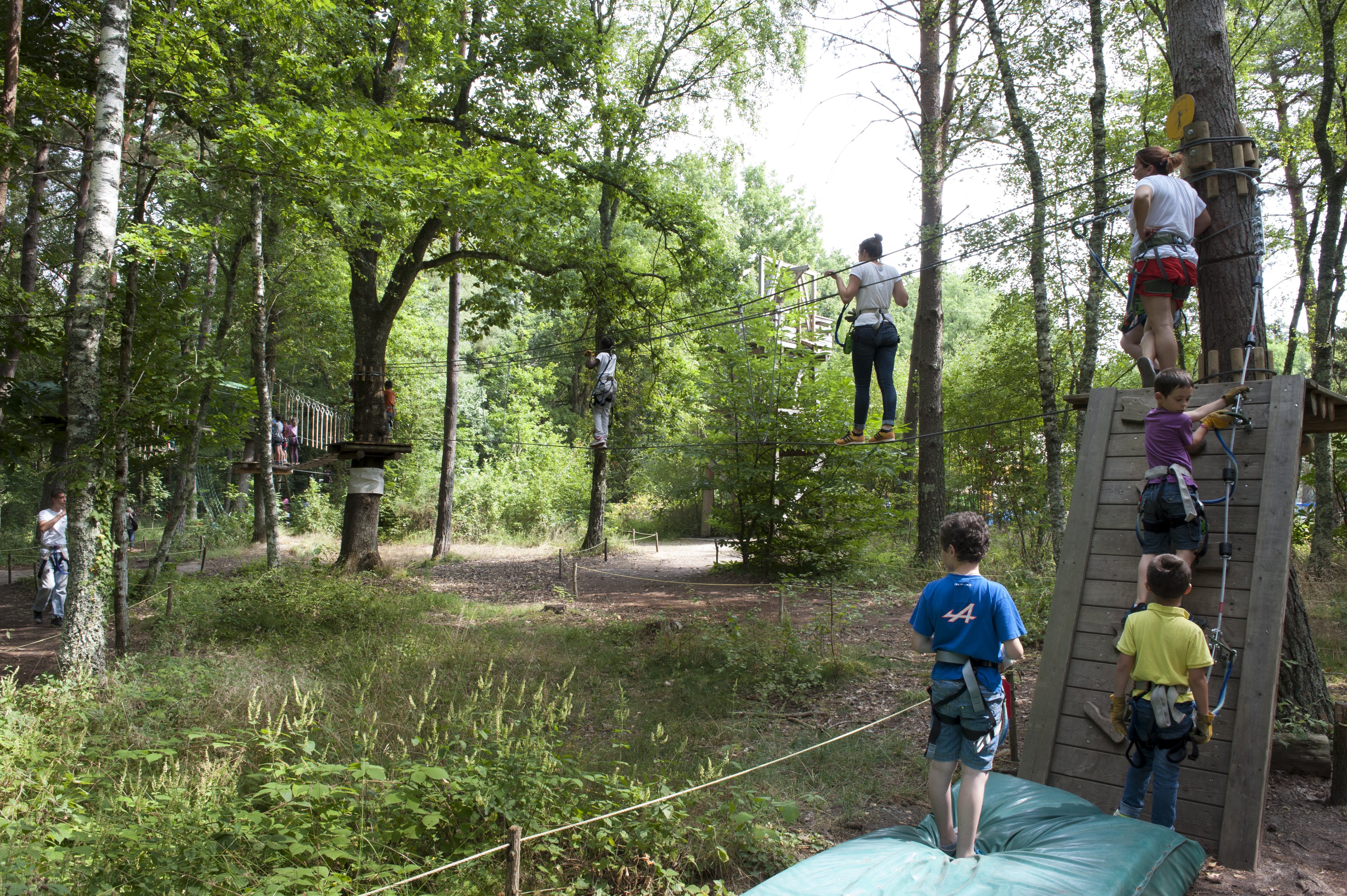 Aventure Parc, Nançay - photo 3
