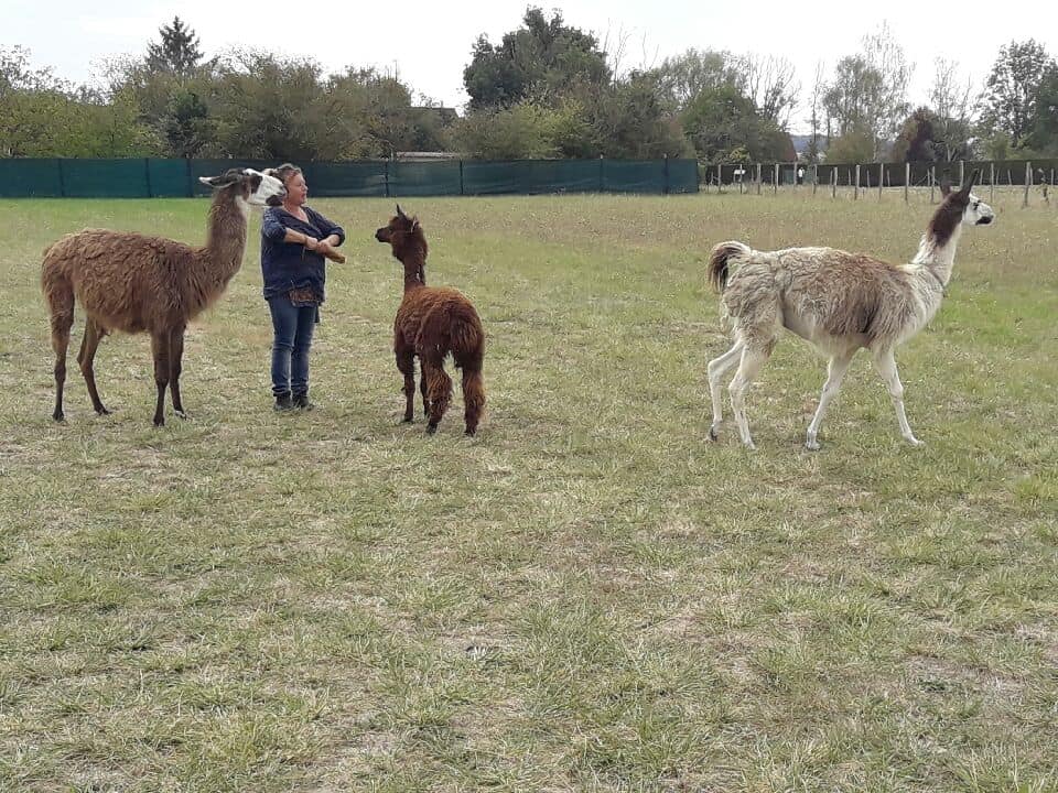 Ferme pédagogique de Martine, Saint-Pierre-de-Jards