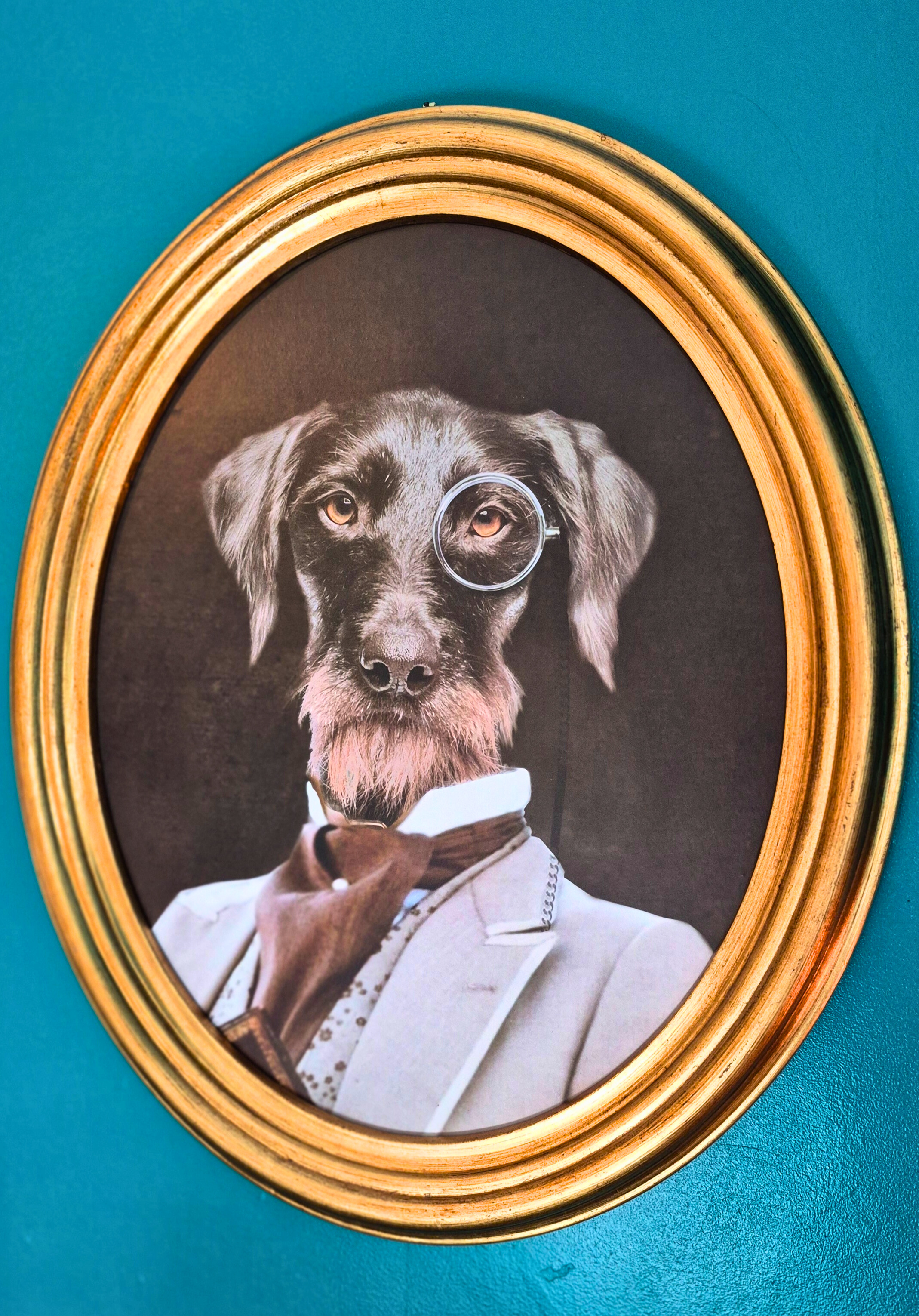 Manoir de la Sauldre, Argent-sur-Sauldre - photo 12