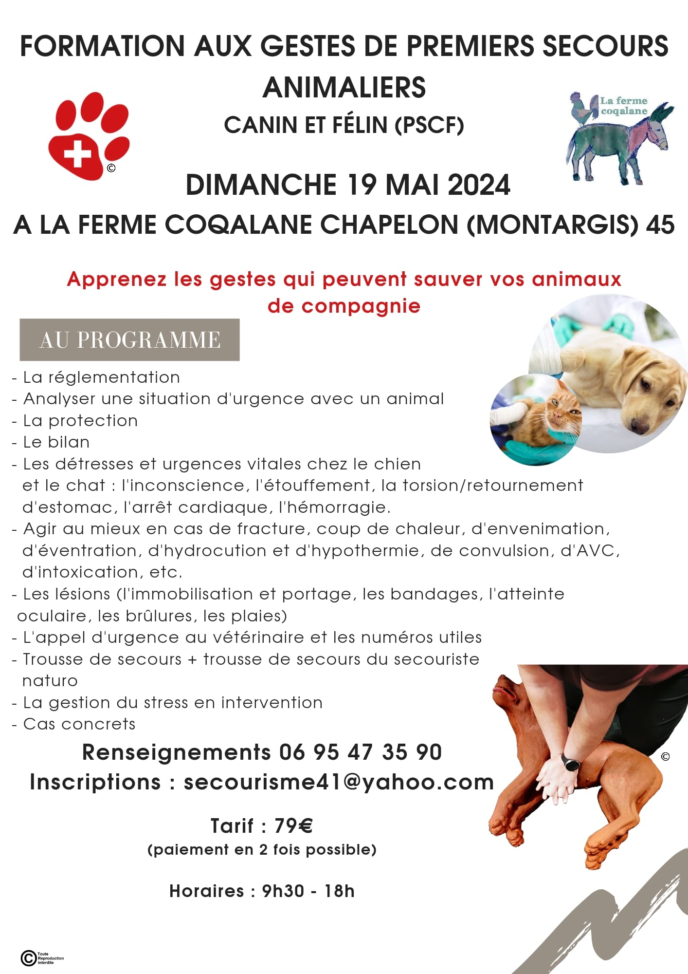 Formation aux gestes de premiers secours animaliers null France null null null null