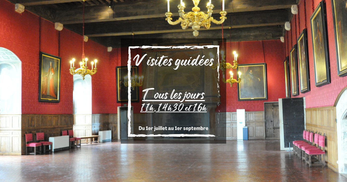 "Visites guidées" au château de Sully sur Loire null France null null null null