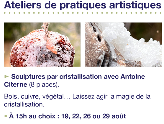 Atelier de pratiques artistiques  : sculptures par cristallisation