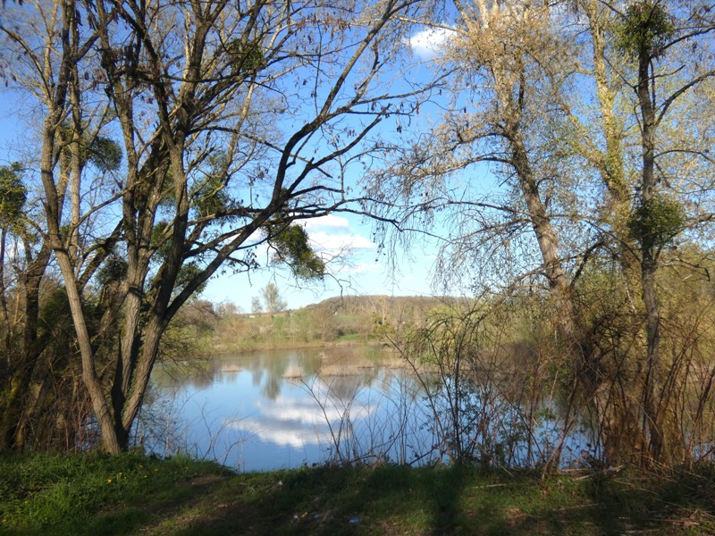 19- Boucle de la Coquillonnerie