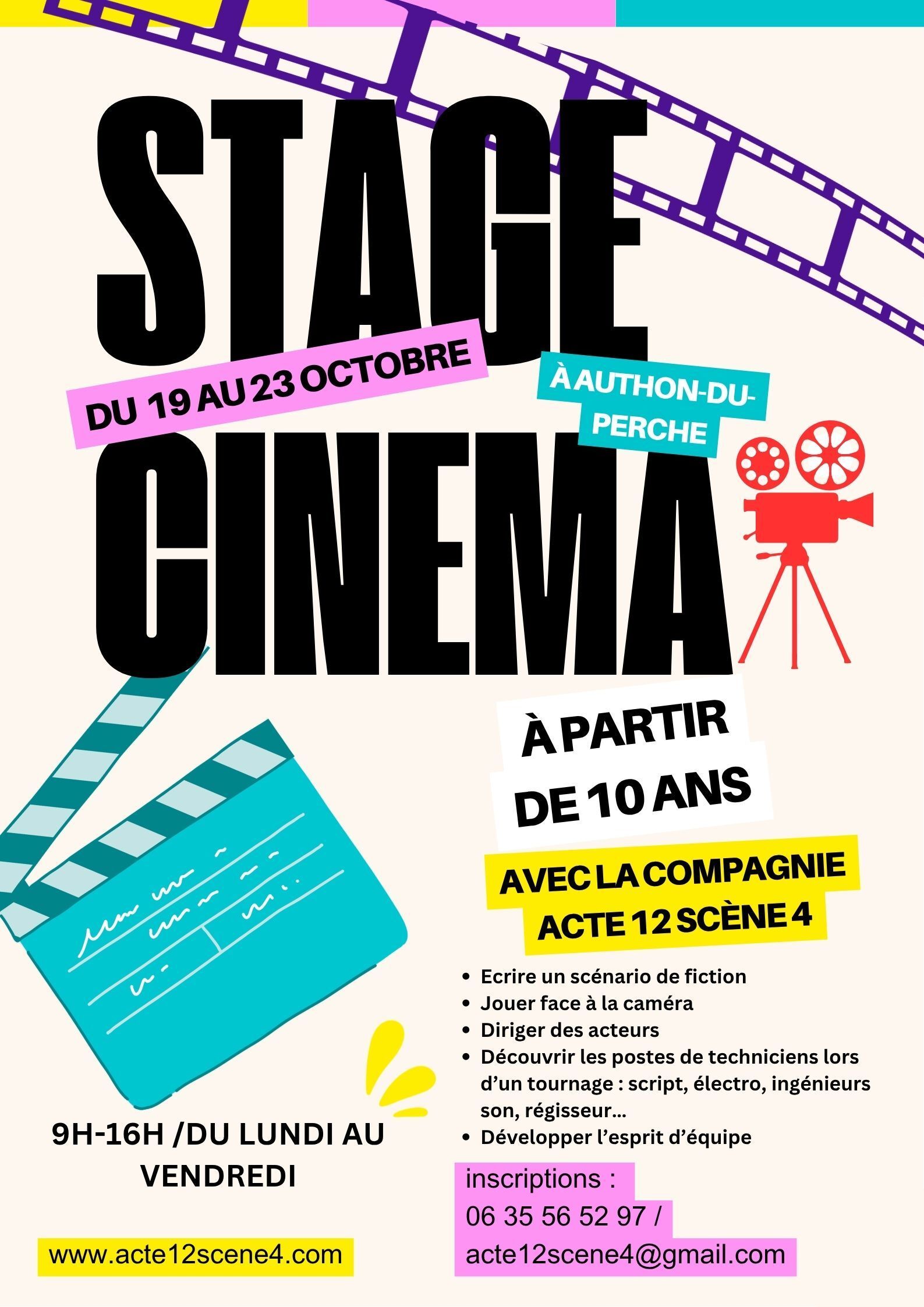 Stage de cinéma