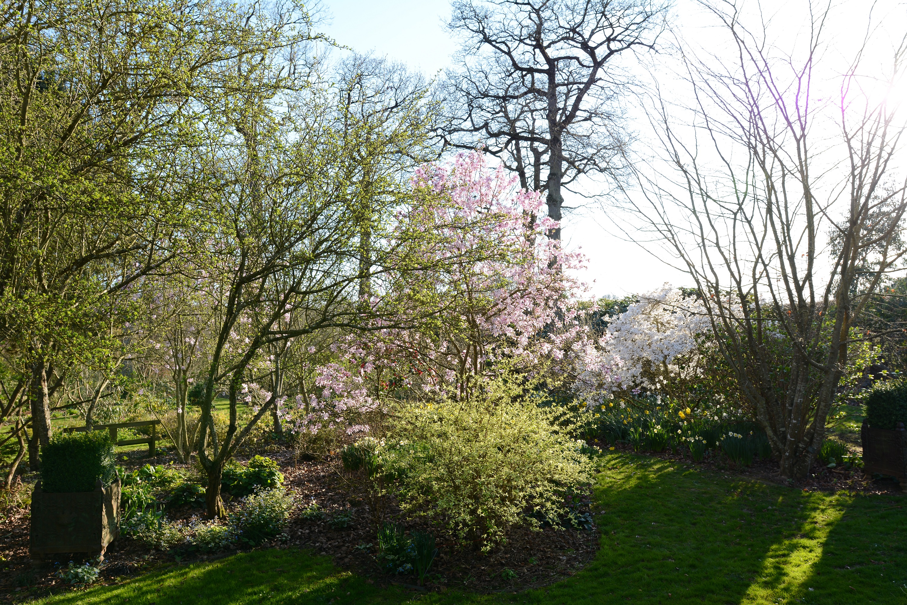 Jardin de la Duchaylatière créé par Jean-Pierre Coffe, Saint-Denis-Lanneray - photo 4