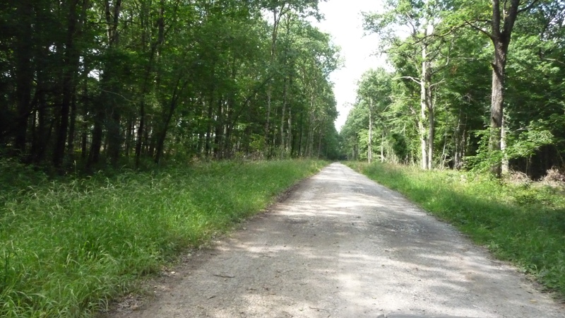 2- Boucle en forêt d'Arpheuilles