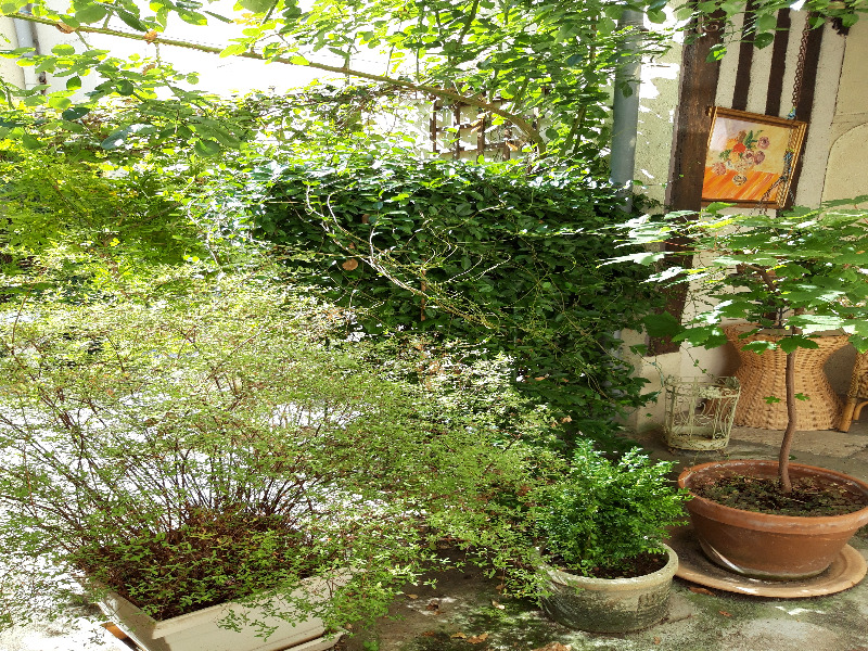 2 pièces, Orléans - photo 16