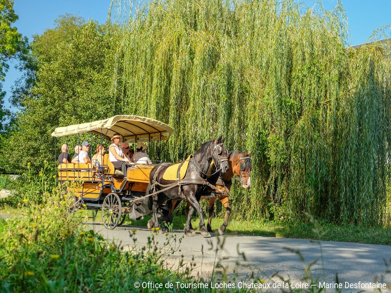 Horse and carriage tour - Loches and Beaulieu-lès-Loches