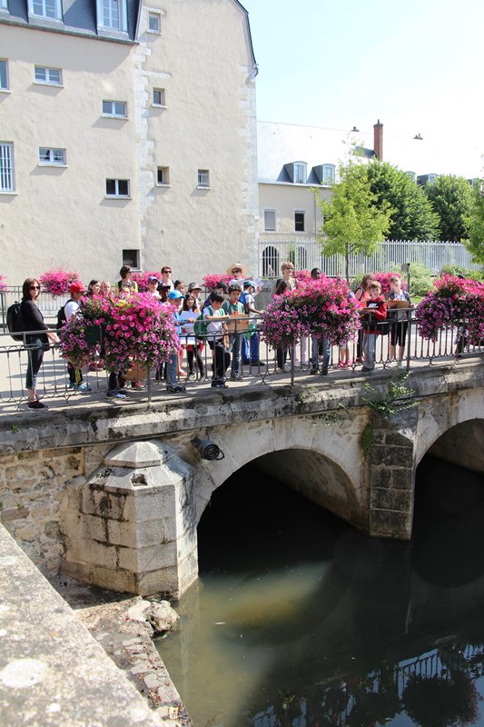 Circuit des ponts, Montargis - photo 10