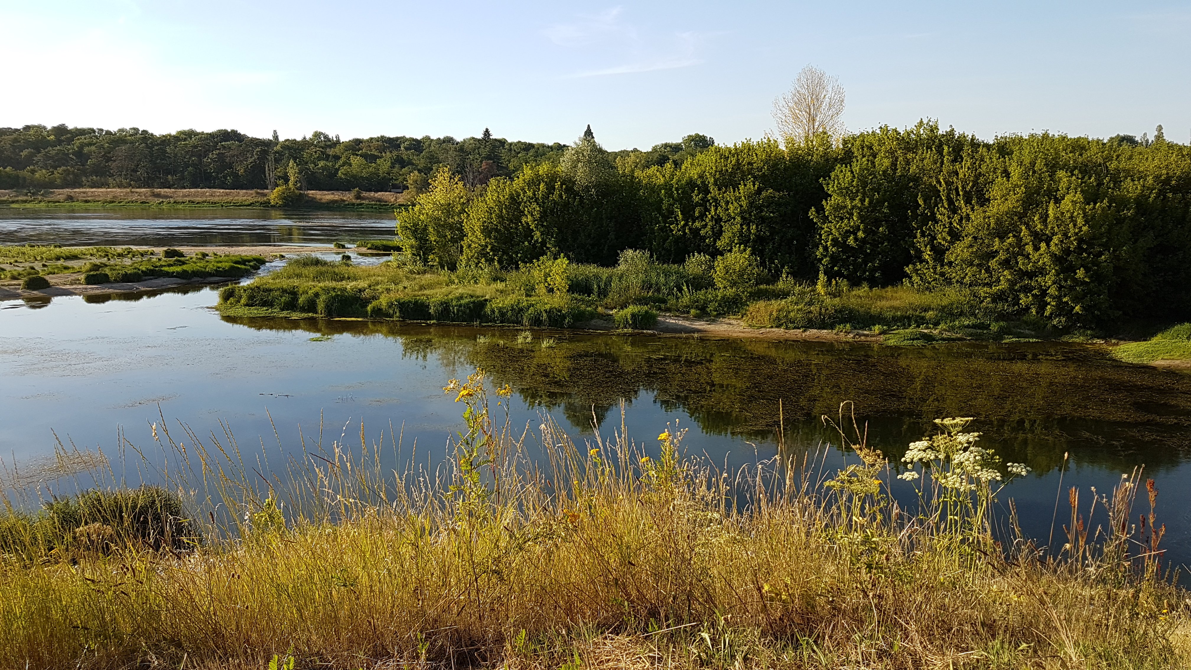 Boucle 02 - Entre vignes et vergers, de la Loire au Loiret, Cléry-Saint-André - photo 3